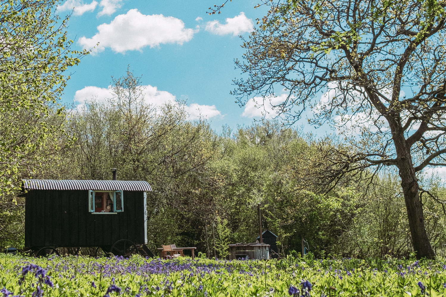 View across the paddock with flowering bluebells towards Old Winchester Shepherd's Hut, outdoor furniture and woodfired hot tub