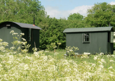 Family glamping setup with Tiny Tin Shepherd's Hut next to Butser Shepherd's Hut on a sunny day on the meadow at Wallops Wood
