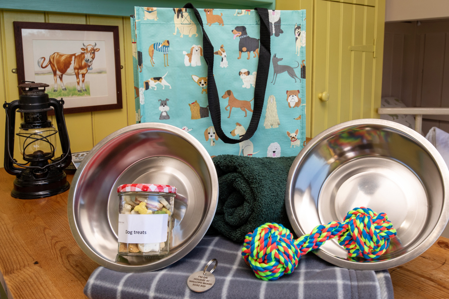 Dog hamper includes eating bowls, dog treats, towel, throw and collar tag engraved with our name, address and telephone number