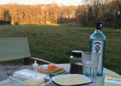 First Night Supper with fresh vegetables and a bottle of Bombay Sapphire gin on the picnic table outside Butser shepherd's hut with the view of The Bothy, Boundary and Tiny Tin huts at sunset on the meadow
