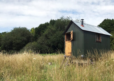 Little Sheepwash with open stable door, side window and chimney for the woodburning stove visible, and surrounded by wild flowers and grasses with woodland behind it. Our oldest shepherds hut and ideal for an authentic shepherds hut holiday