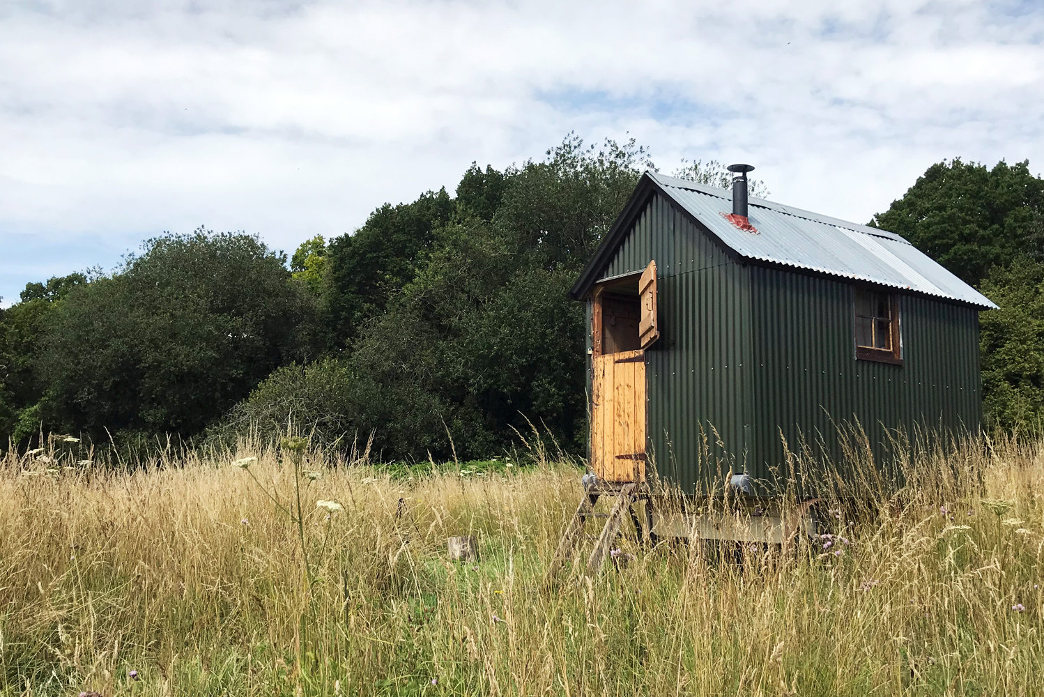 Little Sheepwash with open stable door, side window and chimney for the woodburning stove visible, and surrounded by wild flowers and grasses with woodland behind it. Our oldest shepherds hut and ideal for an authentic shepherds hut holiday