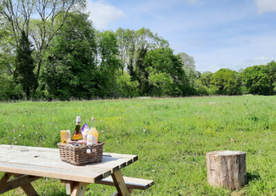 View across the meadow from The Wriggly Inn with welcome hamper on the picnic bench and log seating