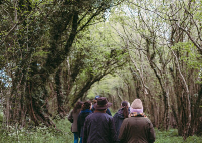 People walking in ancient woodland close to Wallops Wood glamping meadow