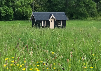 The lush green meadow and long wild grasses, yellow buttercups and wild flowers surrounding The Wriggly Inn ensuite shepherds hut with woodland behind it